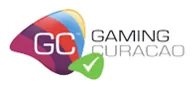 24/7 Support Icon